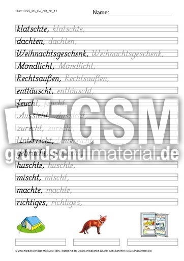 DSS_2S_Bu_cht_Nr_11.pdf